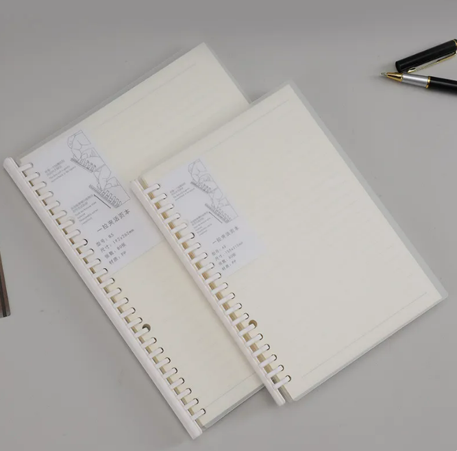 Translucent Cover Graph Notebook