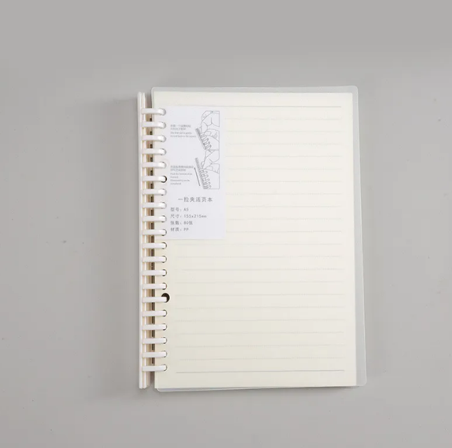 Translucent Cover Graph Notebook