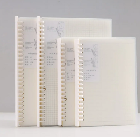 Translucent Cover Graph Notebook